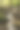 比斯卡扎迪山脉山间溪流中的小瀑布图片下载