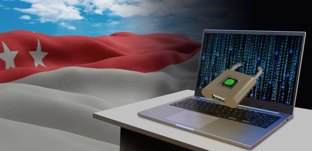 新加坡国旗飘扬及网络安全概念图片下载