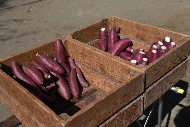 大瓦罐烤红薯。图片下载