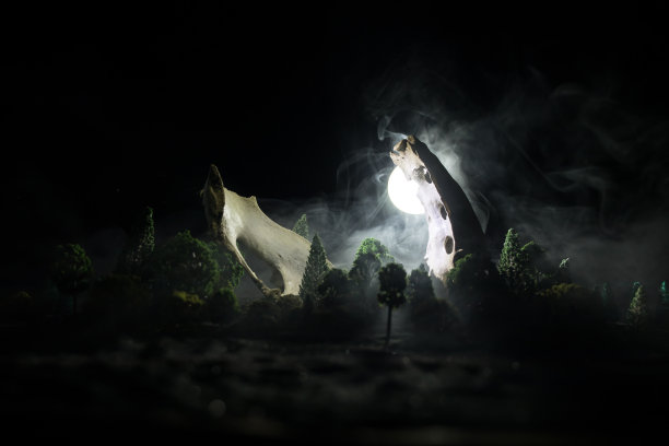 动物骨头在黑暗的万圣节夜晚与雾和背景光/选择焦点和文本空间。抽象的恐惧概念图片下载