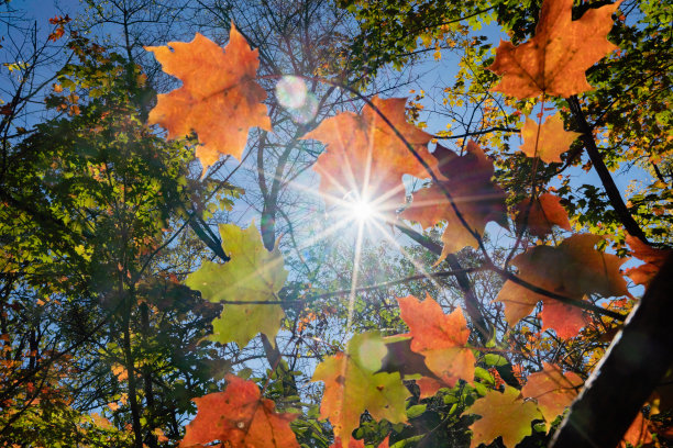 加拿大圣凯瑟琳，格里姆斯比，激光瀑布和四十英里河下游图片下载