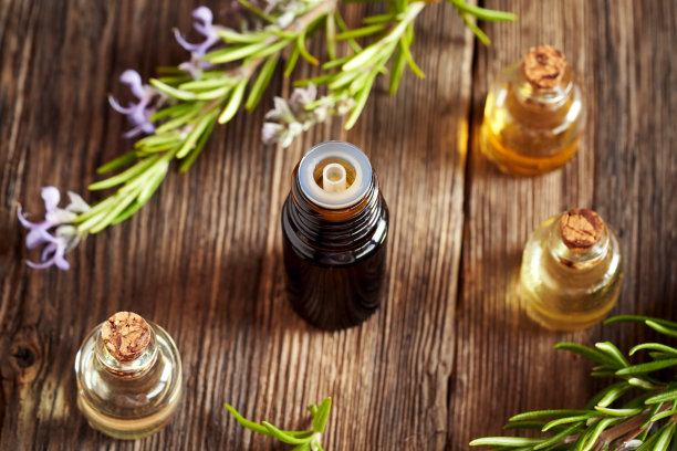一瓶黑色的精油和新鲜盛开的迷迭香图片下载