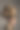 创意肖像的模特女孩与高级时尚的发型和化妆的背景。接发是一门美发艺术。概念-时尚和风格图片下载