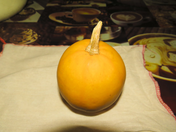 明亮的橙色南瓜水果特写图片下载