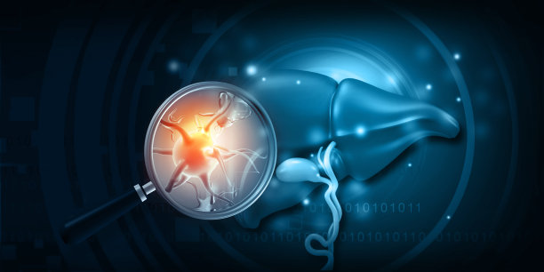 乙型肝炎感染的肝脏图片下载