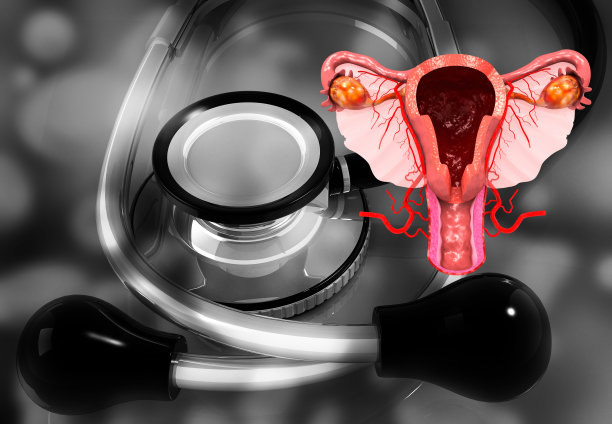 女性子宫和卵巢听诊器解剖背景图片下载