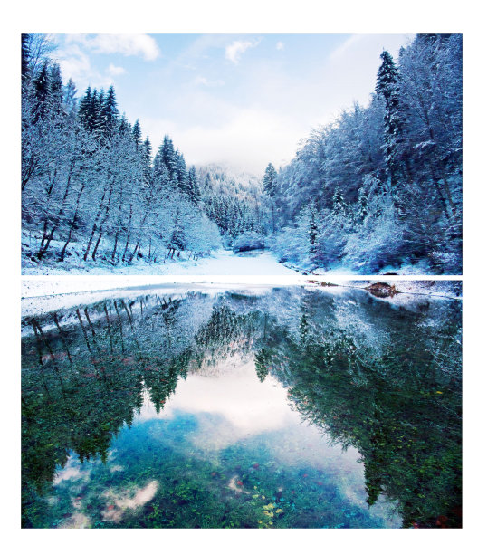 森林里的一个小湖上的一个冰冻的早晨图片下载