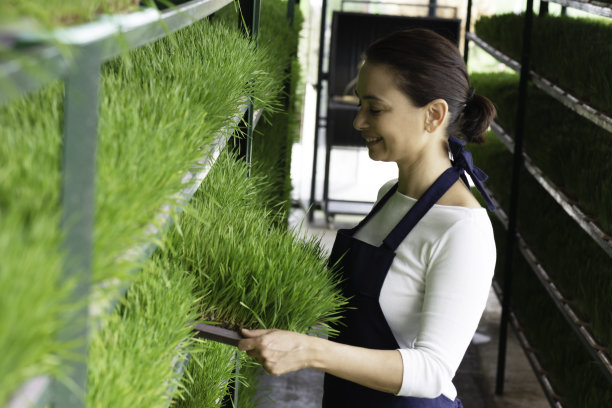 女人的温室图片下载