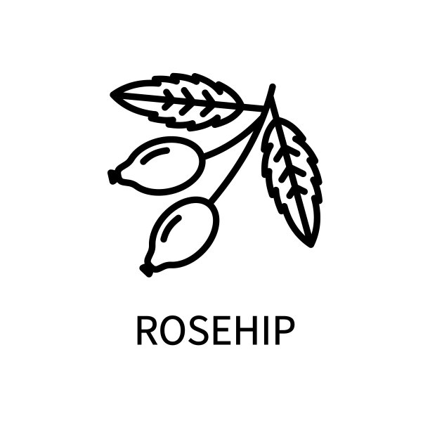 玫瑰线条图标在简单的风格。健康食品。自然的产品。矢量符号在一个简单的风格孤立在一个白色的背景图片下载