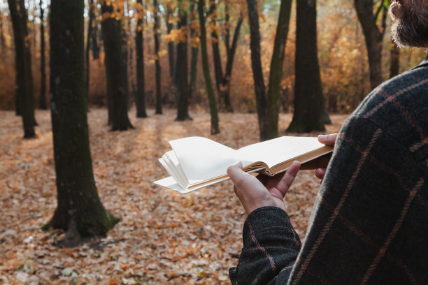 一个人在森林里拿着一本书图片下载