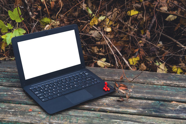 在公园的秋天工作。图片下载