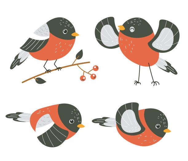 冬鸟红雀孤立向量平面设计元素集图片下载
