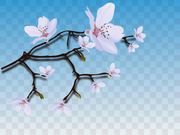 盛开的樱花。春天的背景。落樱粉色花瓣。每股收益10向量。图片下载