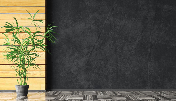 室内背景与木镶板和黑色灰泥混凝土模型墙复制空间，花盆与草3d渲染图片下载