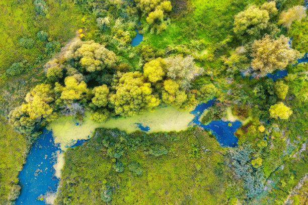草地与树木和河流日出从空中俯瞰。自然景观。图片下载