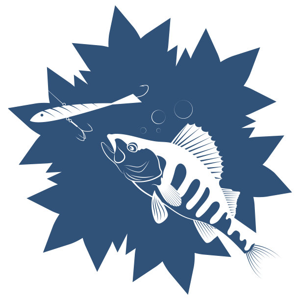 冰下追逐鱼饵的鱼图片下载