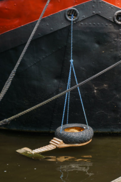 在荷兰阿姆斯特丹运河的船上为鸭子筑巢图片下载