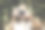 年轻女摄影师户外摄影系列照片图片下载