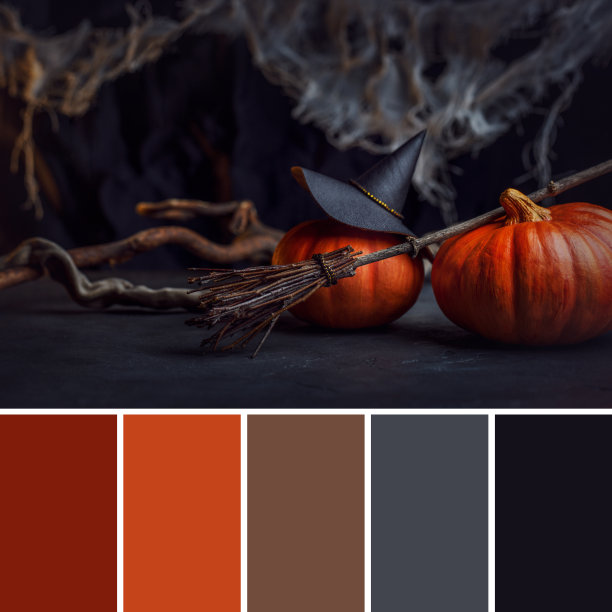女巫的神秘背景。装饰万圣节照片与帽子，南瓜，蜘蛛网和扫帚。在设计和装饰中相互匹配的调色板图片下载