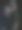 一个男孩与玫瑰图像高清图片下载