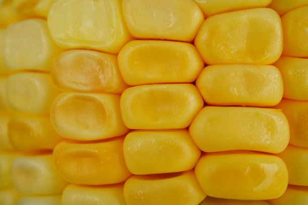 玉米的质地和背景图片下载