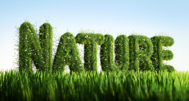 大自然的文字由草制成图片下载