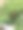花园里有樱桃番茄图片下载