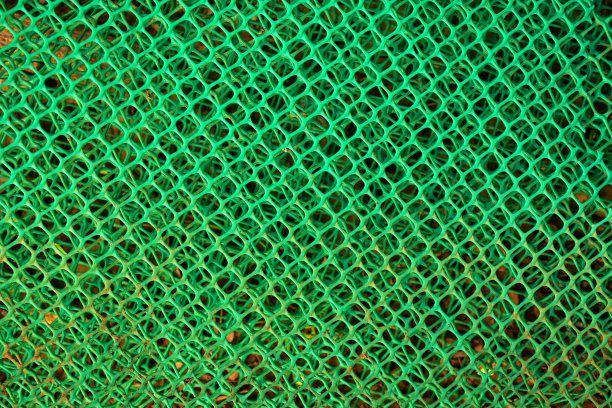 绿色塑料蛋封面图片下载