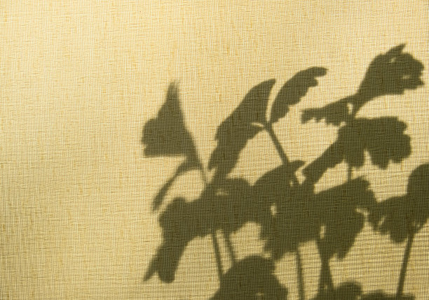 光影日落上的复古米色织物纹理。老式纺织背景。抽象的背景与花卉图案和交叉线阴影。图片下载