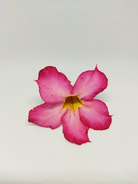 亚丁尼姆图片下载