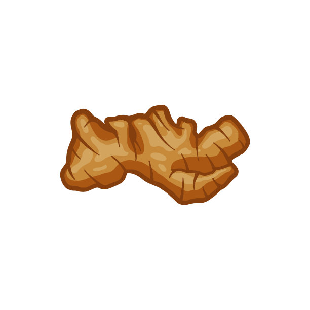 姜矢量插图。辣的草本成分。身体治疗。图片下载