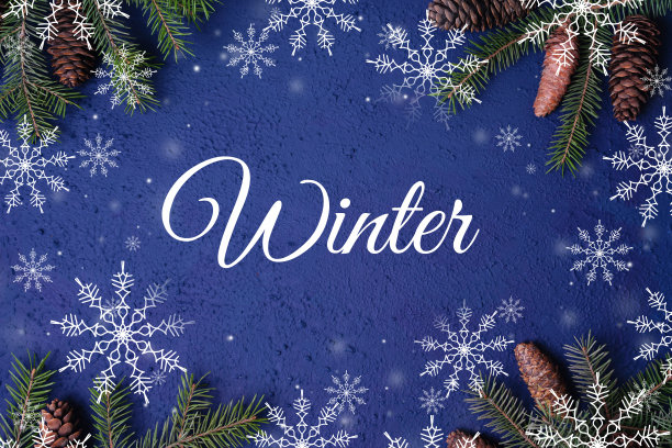 冬天用雪花、树枝和球果在深蓝色的背景上刻字。圣诞贺卡。图片下载