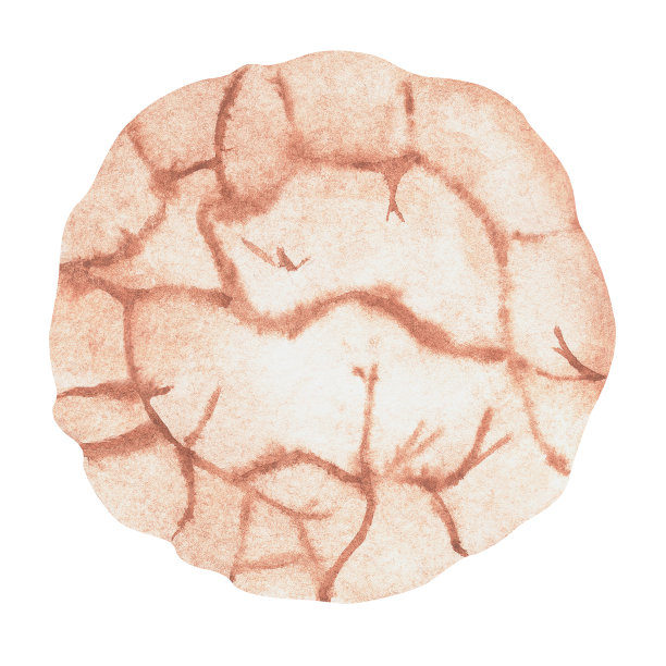 饼干。水彩的插图。孤立在白色背景上。为你的设计。图片下载