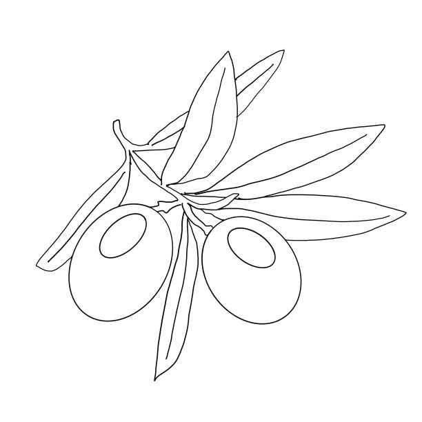 橄榄枝，黑白剪影。手绘插图，孤立图片下载