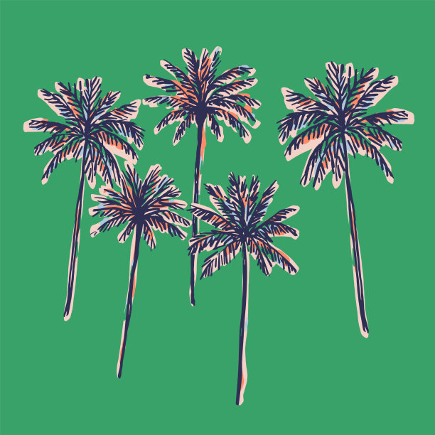 矢量手绘复古棕榈树插图图形资源图片下载