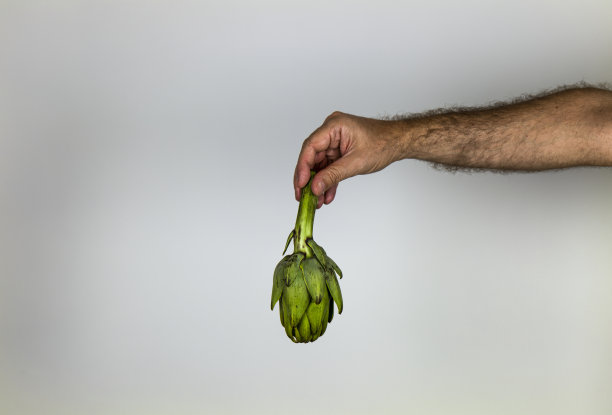 手拿洋蓟在白色的背景图片下载