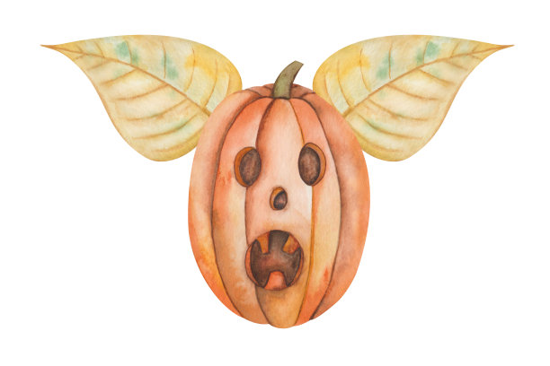 水彩插图手绘橙色南瓜与恐怖的脸与叶子像翅膀万圣节图片下载