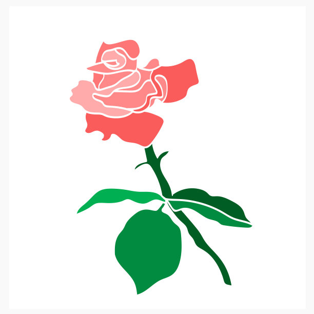 玫瑰图案。图片下载