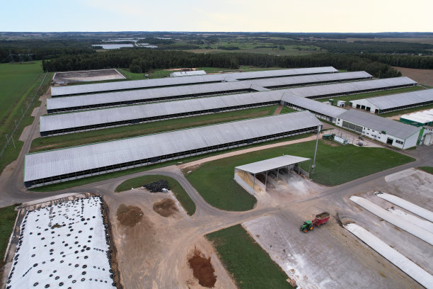 农场建筑与牛、猪在村里，鸟瞰图。靠近农田的牛棚。牛奶生产和畜牧业图片下载