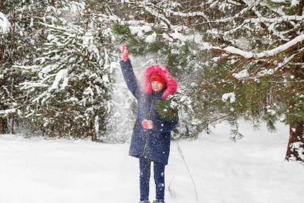小女孩戴着红色温暖的帽子，摇着树枝上的雪，在大自然冬天的雪林背景上。漂亮的孩子在户外，寒冷的天气。白种人的孩子。节日快乐图片下载