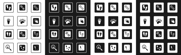 设置人类脚印鞋熊掌鳄鱼图片下载