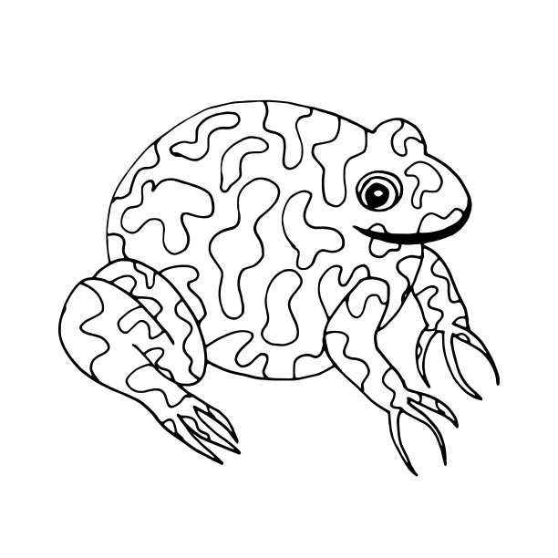 蟾蜍插图涂鸦。青蛙向量。图片下载