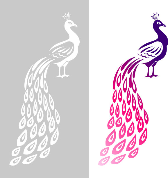 孔雀婚礼象征抽象的孔雀图案图片下载