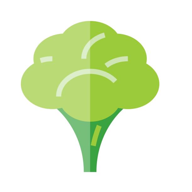 icon植物蔬菜西蓝花图标图片下载