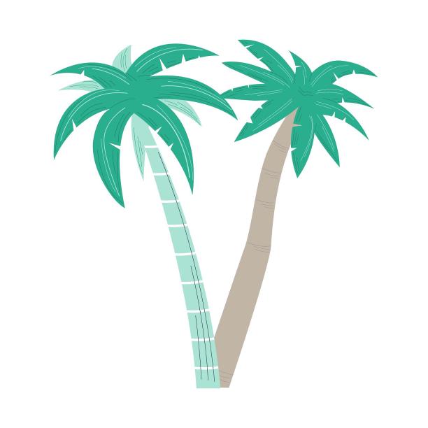 植物树椰子树卡通图片下载