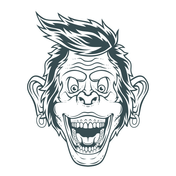 有趣的猴子。图片下载