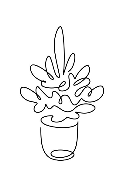 盆栽冷杉树图片下载