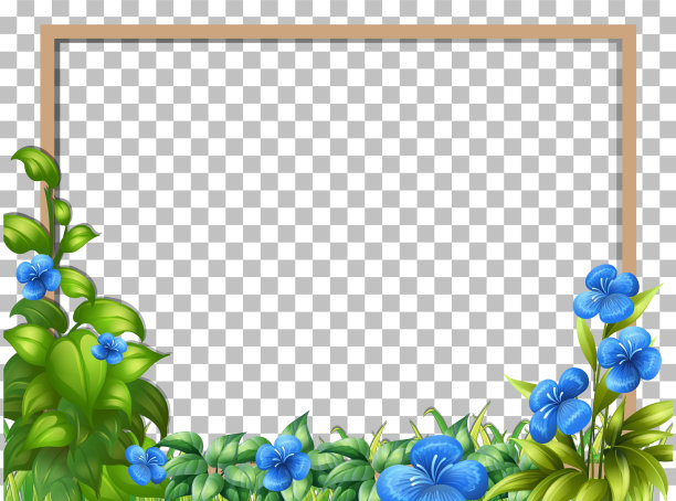 自然植物框架透明的背景图片下载