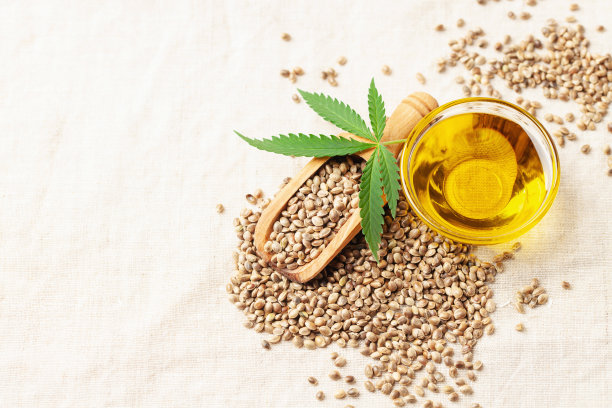 油和大麻的叶子和种子在灰色的背景。一瓶大麻油。天然环保产品。本空间图片下载