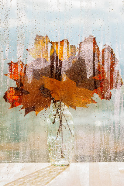 在阳光的照耀下，玻璃花瓶里有一束五彩缤纷的秋叶图片下载